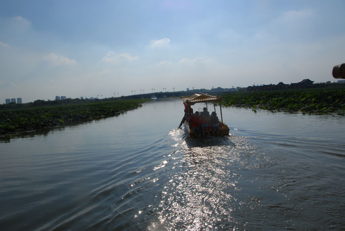 Ϧ�������ӭ�������ϰ�